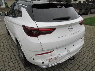 Opel Grandland GrandLand X  1.2T 130pk AUT. Climatronic HalfLeer/Alcant Navi Camera Keyless-Go Stoel/Stuur-Verwarming picture 9