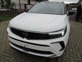 Opel Grandland GrandLand X  1.2T 130pk AUT. Climatronic HalfLeer/Alcant Navi Camera Keyless-Go Stoel/Stuur-Verwarming picture 2