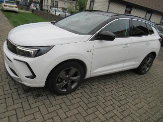 Opel Grandland GrandLand X  1.2T 130pk AUT. Climatronic HalfLeer/Alcant Navi Camera Keyless-Go Stoel/Stuur-Verwarming picture 11