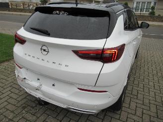 Opel Grandland GrandLand X  1.2T 130pk AUT. Climatronic HalfLeer/Alcant Navi Camera Keyless-Go Stoel/Stuur-Verwarming picture 6