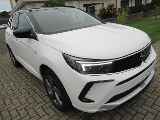 Opel Grandland GrandLand X  1.2T 130pk AUT. Climatronic HalfLeer/Alcant Navi Camera Keyless-Go Stoel/Stuur-Verwarming picture 3
