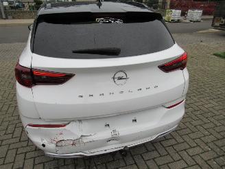 Opel Grandland GrandLand X  1.2T 130pk AUT. Climatronic HalfLeer/Alcant Navi Camera Keyless-Go Stoel/Stuur-Verwarming picture 7