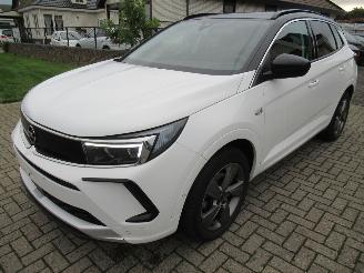 Vaurioauto  passenger cars Opel Grandland GrandLand X  1.2T 130pk AUT. Climatronic HalfLeer/Alcant Navi Camera Keyless-Go Stoel/Stuur-Verwarming 2024/5