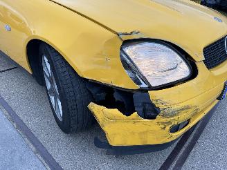 Mercedes SLK 200 picture 14