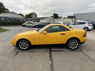 Mercedes SLK 200 picture 15