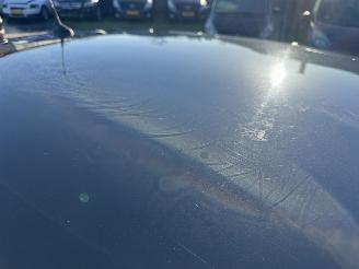 Renault Mégane 1.6 Celsium picture 20