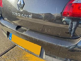 Renault Mégane 1.6 Celsium picture 18