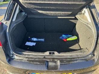 Renault Mégane 1.6 Celsium picture 17