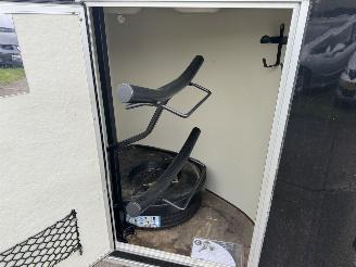 Cheval Liberte  2 paards picture 11