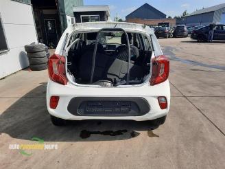 Kia Picanto Picanto (JA), Hatchback, 2017 1.0 12V picture 4