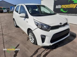 Kia Picanto Picanto (JA), Hatchback, 2017 1.0 12V picture 2