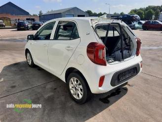 Kia Picanto Picanto (JA), Hatchback, 2017 1.0 12V picture 5