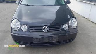 Volkswagen Polo Polo IV (9N1/2/3), Hatchback, 2001 / 2012 1.4 16V picture 19