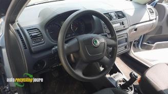 Skoda Fabia Fabia II (5J), Hatchback 5-drs, 2006 / 2014 1.2 TDI 12V Greenline picture 15