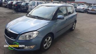 Skoda Fabia Fabia II (5J), Hatchback 5-drs, 2006 / 2014 1.2 TDI 12V Greenline picture 6