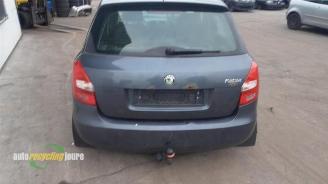 Skoda Fabia Fabia II (5J), Hatchback 5-drs, 2006 / 2014 1.2i 12V picture 5