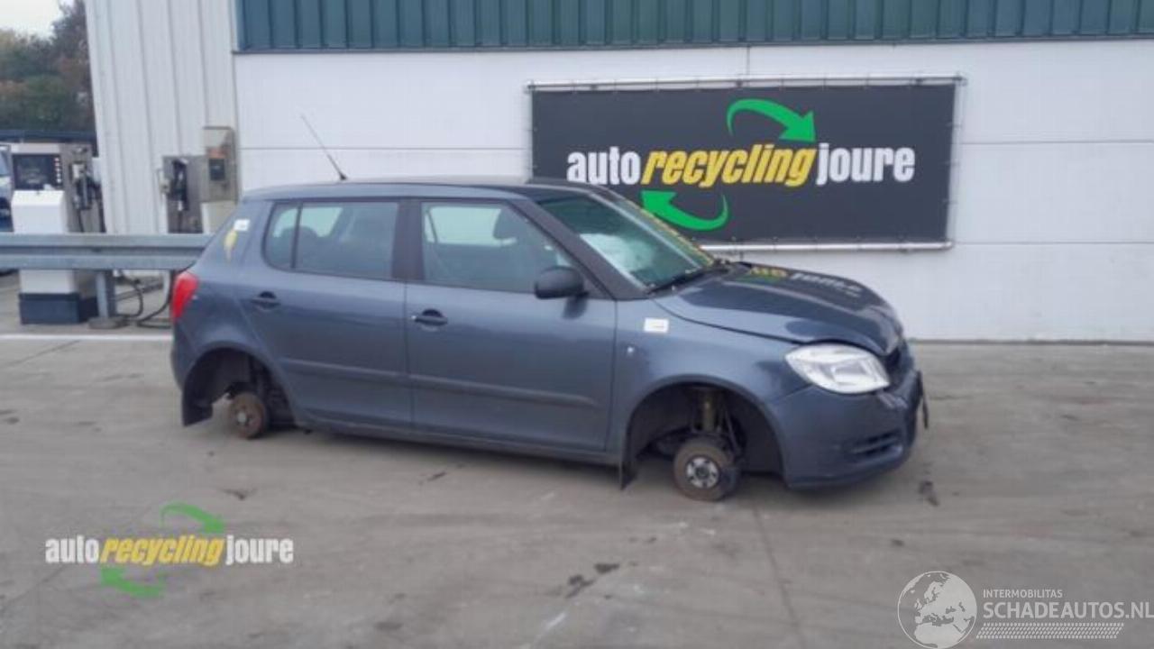 Skoda Fabia Fabia II (5J), Hatchback 5-drs, 2006 / 2014 1.2i 12V