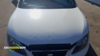 Seat Ibiza Ibiza IV (6J5), Hatchback 5-drs, 2008 / 2017 1.2 TDI Ecomotive picture 18