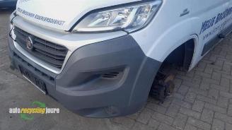 Fiat Ducato onderdelen (donorauto) kleurcode: 549 picture 14