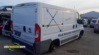 Fiat Ducato onderdelen (donorauto) kleurcode: 549 picture 5