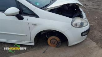 Fiat Punto Punto Evo (199), Hatchback, 2009 / 2012 1.3 JTD Multijet 85 16V Euro 5 picture 3