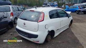 Fiat Punto Punto Evo (199), Hatchback, 2009 / 2012 1.3 JTD Multijet 85 16V Euro 5 picture 8