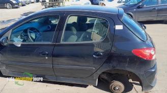 Peugeot 206 206+ (2L/M), Hatchback, 2009 / 2013 1.4 XS picture 11