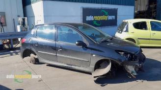rozbiórka samochody osobowe Peugeot 206 206+ (2L/M), Hatchback, 2009 / 2013 1.4 XS 2008/1