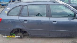 Skoda Fabia Fabia II Combi, Combi 5-drs, 2007 / 2015 1.2 TDI 12V Greenline picture 11