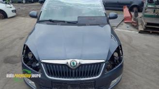 Skoda Fabia Fabia II Combi, Combi 5-drs, 2007 / 2015 1.2 TDI 12V Greenline picture 7