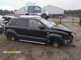 uszkodzony samochody osobowe Hyundai Tucson Tucson (JM), SUV, 2004 / 2010 2.0 16V CVVT 4x2 2007/4