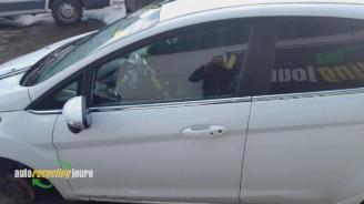 Ford Fiesta Fiesta 6 (JA8), Hatchback, 2008 / 2018 1.6 TDCi 16V ECOnetic picture 16