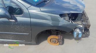 Peugeot 207 207 SW (WE/WU), Combi, 2007 / 2013 1.4 16V Vti picture 2