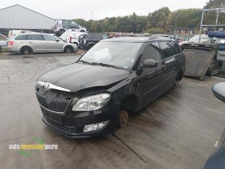Skoda Fabia Fabia II Combi, Combi 5-drs, 2007 / 2014 1.2 TDI 12V Greenline picture 16
