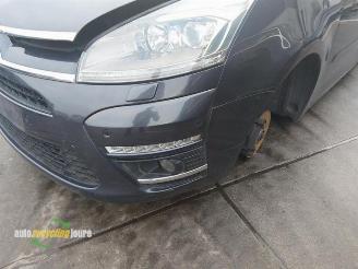 Citroën C4-picasso C4 Picasso (UD/UE/UF), MPV, 2007 / 2013 1.6 HDiF 16V 110 picture 19