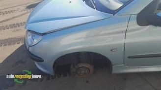 Peugeot 206 206 CC (2D), Cabrio, 2000 / 2007 1.6 16V picture 10