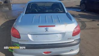 Peugeot 206 206 CC (2D), Cabrio, 2000 / 2007 1.6 16V picture 5