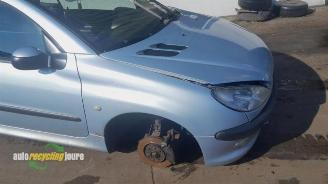 Peugeot 206 206 CC (2D), Cabrio, 2000 / 2007 1.6 16V picture 2
