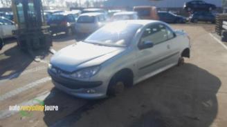 Peugeot 206 206 CC (2D), Cabrio, 2000 / 2007 1.6 16V picture 11