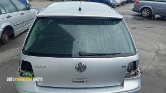 Volkswagen Golf Golf IV (1J1), Hatchback, 1997 / 2005 1.6 16V picture 14