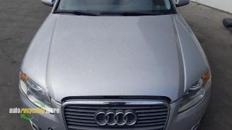 Audi A4 A4 (B7), Sedan, 2004 / 2008 1.8 T 20V picture 25