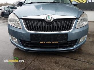 Skoda Fabia Fabia II Combi, Combi 5-drs, 2007 / 2015 1.2 TDI 12V Greenline picture 19