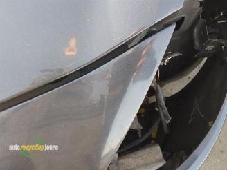 Renault Clio Clio III (BR/CR), Hatchback, 2005 / 2014 1.6 16V picture 29