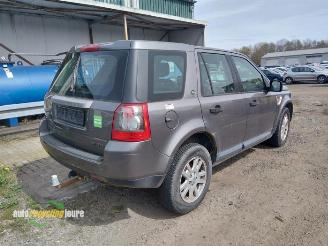 Land Rover Freelander Freelander II, Terreinwagen, 2006 / 2014 2.2 td4 16V picture 5