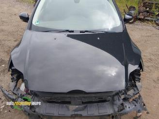 Ford Focus Focus 3 Wagon, Combi, 2010 / 2020 1.0 Ti-VCT EcoBoost 12V 125 picture 10