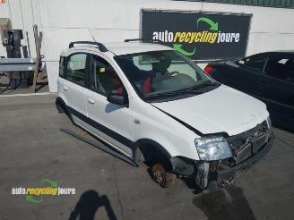 Fiat Panda Panda (169), Hatchback, 2003 / 2013 1.2 Fire 4x4 picture 9