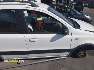 Fiat Panda Panda (169), Hatchback, 2003 / 2013 1.2 Fire 4x4 picture 19