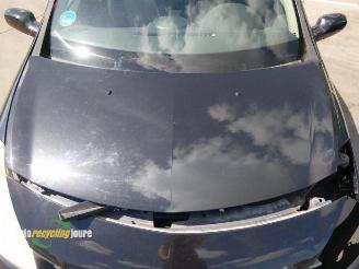 Renault Clio Clio III Estate/Grandtour (KR), Combi, 2007 / 2014 1.6 16V picture 28