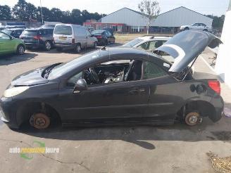 Peugeot 207 207 CC (WB), Cabrio, 2007 / 2015 1.6 16V THP picture 4