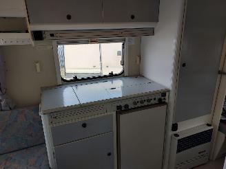 Kip  GERESERVEERD   Grey Line 48 TRZ Voortent picture 9
